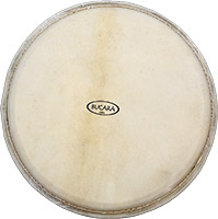 Bucara Hide Drum Skin 14inch