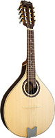 Carvalho 310MDL Mandolin. Solid Rosewood Body Solid spruce top. Curved fingerboard, pear shape body