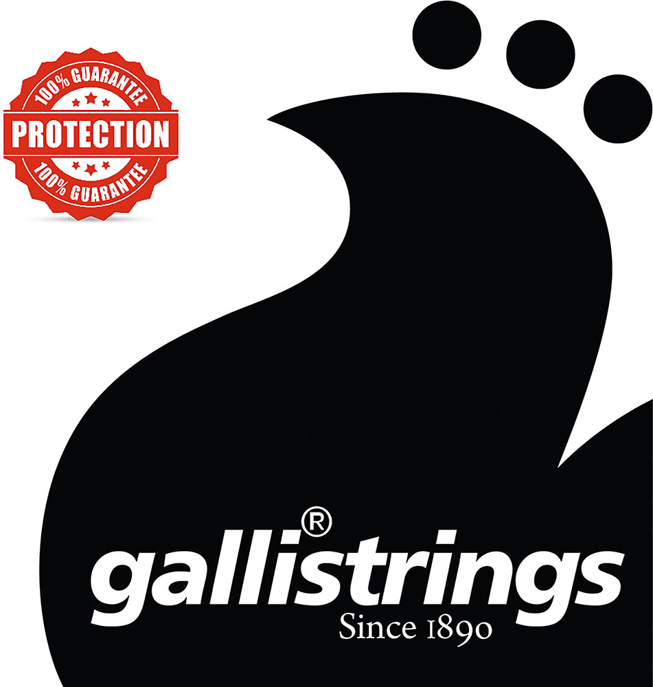 Galli GP1047 Guitar Banjo Strings Phosphor bronze wound and plain steel strings