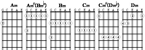 Charango FAQ | Hobgoblin Music